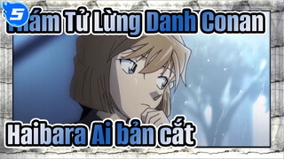 [Thám Tử Lừng Danh Conan] Haibara Ai 2013-2019 bản cắt không phụ đề_B5