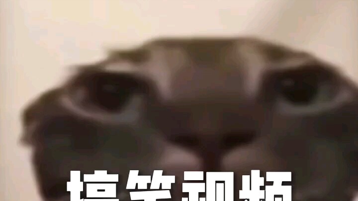 Daily Merit Accumulation