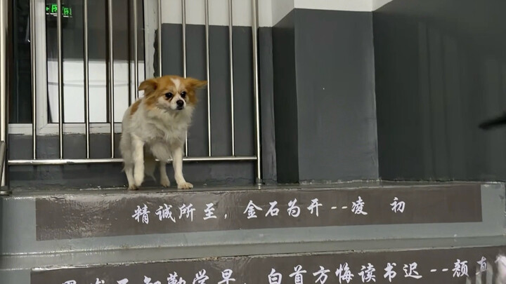 ส่งต่อความรัก