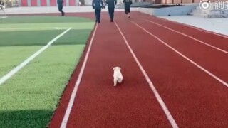 队里新来的一名小战士