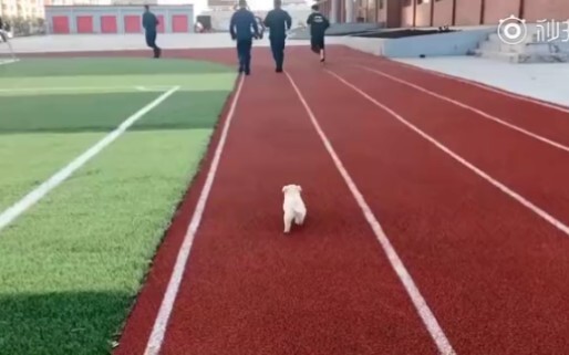 队里新来的一名小战士