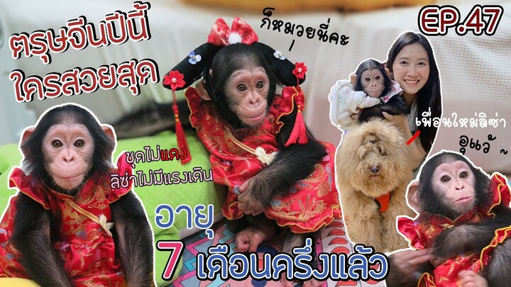 ตรุษจีนนี้ ลิซ่าอายุ 7 เดือนครึ่งแล้ว ผูกมิตรกับเพื่อนใหม่ ลิงกับหมา !! EP.47