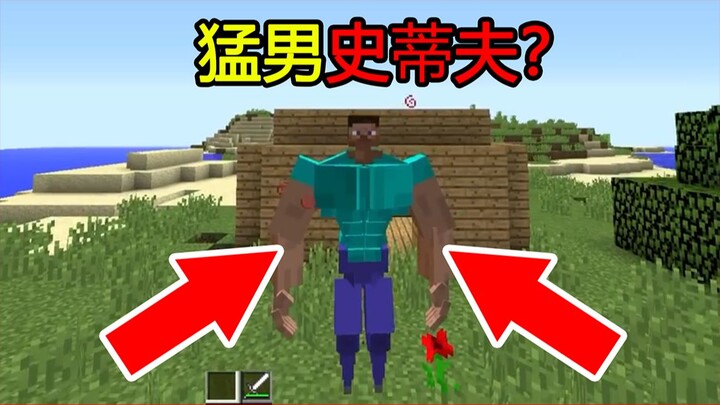 ماينكرافت: معلومات غريبة للمبتدئين في MC.. هل سبق أن رأيت ماينكرافت هكذا؟ ستيف الرجل القوي!