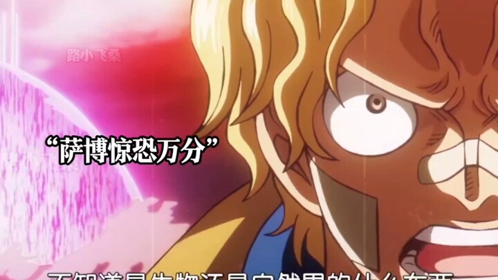 Hal bertingkat penghancuran negara yang muncul untuk pertama kalinya di One Piece