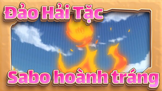 Đảo Hải Tặc|[Sabo] Người anh làm hư em trai