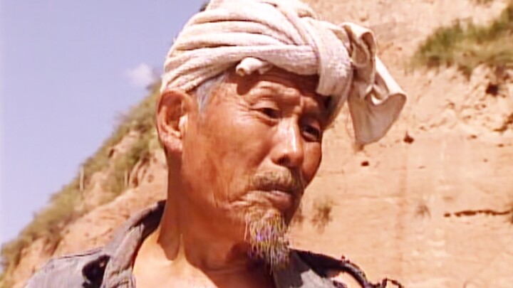 كلمات قليلة من مزارع عجوز من شمال شنشي، مستوى عالٍ جدًا!