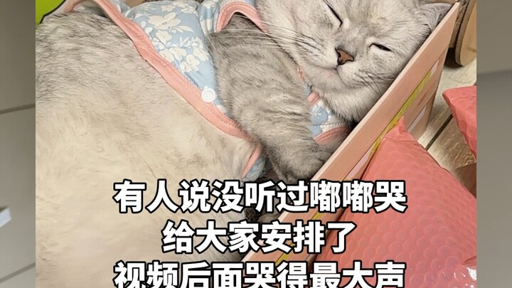 Someone said they don’t believe Dudu’s clingy—never heard Dudu cry, huh? Got it! Let’s do it!!