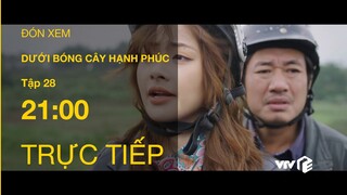 TRỰC TIẾP VTV1 | TẬP 28: Dưới Bóng Cây Hạnh Phúc