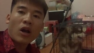 Hưng Troll _ Đặt Tên Mới Cho Ngáo Alaska Siêu Ngầu