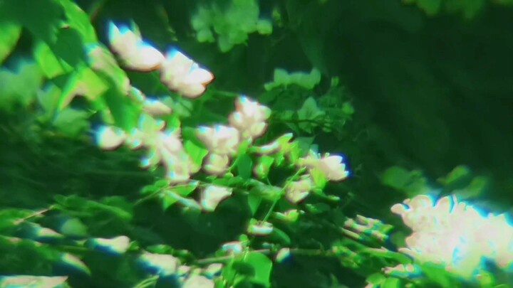 shor film