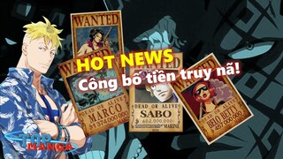 [TIN NÓNG]. Công bố tiền truy nã của Marco, Izo & Quân Cách Mạng!