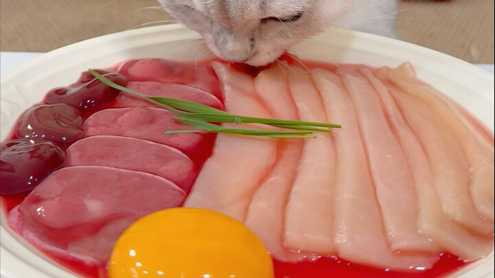 The eating cat is now online!