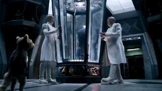 人类发明了进化器小浣熊的智商超过了科学家