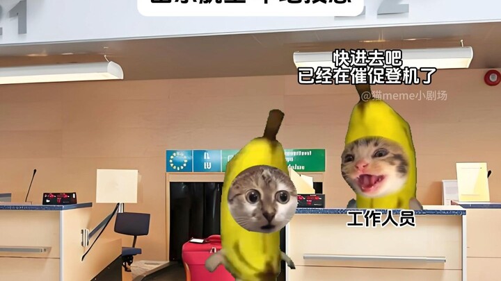 Shandong Airlines: Sky-High Takeoff