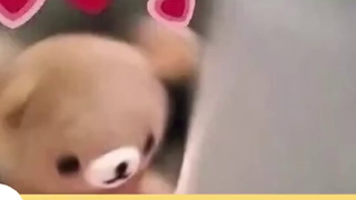 You can't buy a kitten's love for you, no matter how much money you spend.