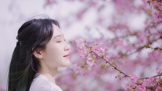 Apakah saya masih akan melihat bunga sakura tahun depan? [Pagi] "calc" membalik