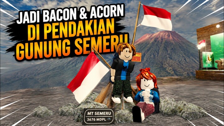 Jadi Bacon dan Acorn di Pendakian Gunung Semeru with Kay