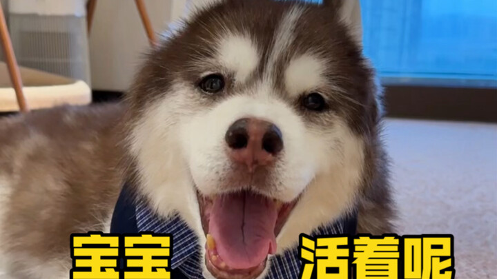 วางใจได้ ทุกอย่างโอเคดี กำลังแก่ตัวไปอย่างสง่างาม