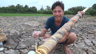 RẮN ÔM MÍA - MÓN NGON DÂN DÃ - TT112