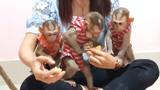 Mom feed the three sibling fruits and vegetables