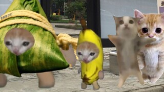 قطة الموز تقابل قطة الزونغزي في المحطة، وتستعد لاصطياده مع الدمية.