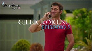 5 Çilek Kokusu