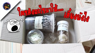 ใครส่งของมาให้มันคือตัวอะไรใครรู้ช่วยบอกวิธีเลี้ยงทีสไตล์korattv