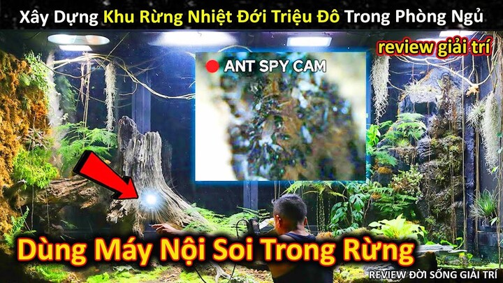 Xây Dựng Khu Rừng Nhiệt Đới Với Hệ Sinh Thái Tuyệt Vời Trong Phòng Ngủ P6 ||Review Giải Trí Đời Sống