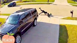 😁 UNEXPECTED Fails CAUGHT on Security Camera | Funny Fails | FUNNY MOMENTS 😂