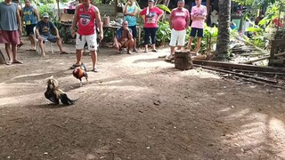 2nd win ni bisaya June 29 '25