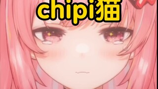 chipi猫洗脑循环！每天一遍忘记烦恼