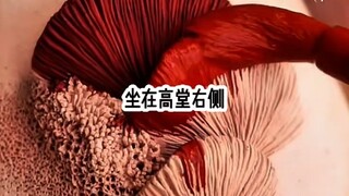 Xiaobao ketakutan sampai menangis