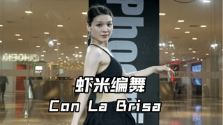 【虾米编舞】Con La Brisa 收藏很久的歌，太喜欢这首歌的呼吸了