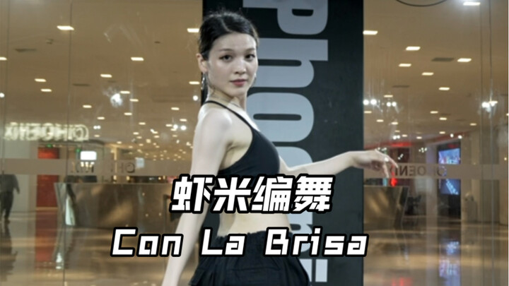 【虾米编舞】Con La Brisa 收藏很久的歌，太喜欢这首歌的呼吸了