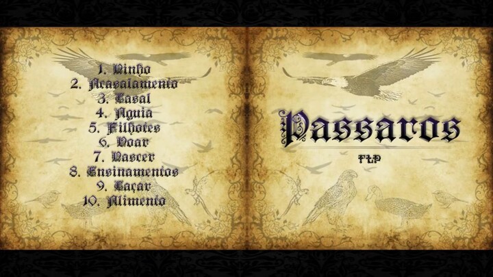 FLP Pássaros Um Som que Vai Te Surpreender! 🦅_