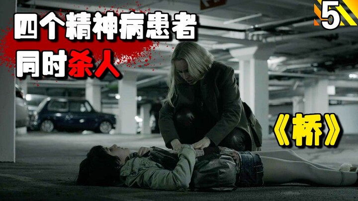 [Long Plot] The killer manipulates four mentally ill patients to commit murders simultaneously, then