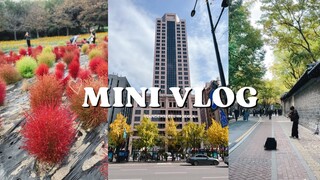 KOREA VLOG : 2023 OCT SEOUL 🍁 Walking vlog | Gwanghwamun to Seoul Station | Olympic Park (Day 4)