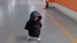 可爱萌翻了！地库里发现芝麻大的小崽儿