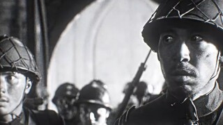 Comrades, please stay, do you still remember?