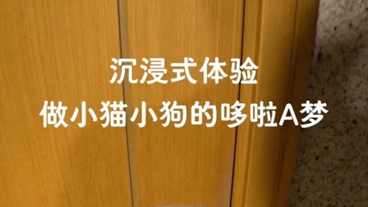 Mở cửa, tôi là Doraemon
