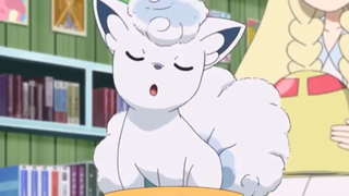 Alolan Vulpix đáng yêu như Idol Tóp Tóp AMV #amv #pokemon