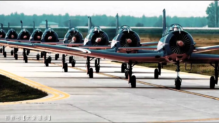 Tentara Komunis ala Jerman yang dilengkapi dengan peralatan Soviet di bawah AFP