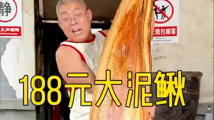 188 tệ cá chạch lớn