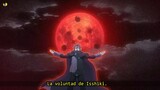 Boruto 290 | Curiosidades y Errores NARUTO Next Generations