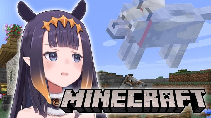 【Minecraft】The Search for Bradley