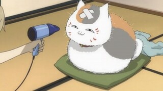 33: "Tôi không biết tóc mùa đông là gì, tôi thực sự không biết gì!" [Cat Too Fat Series]