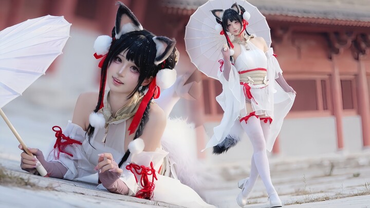 Cute Fox ♥ Playful and Adorable