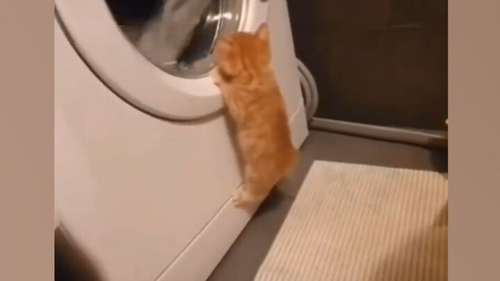 "This... this is just too cute!!"