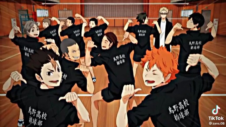 karasuno team