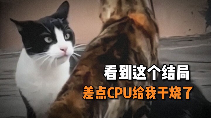 “Cat romance can be this explosive after all…”